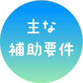 主な補助要件